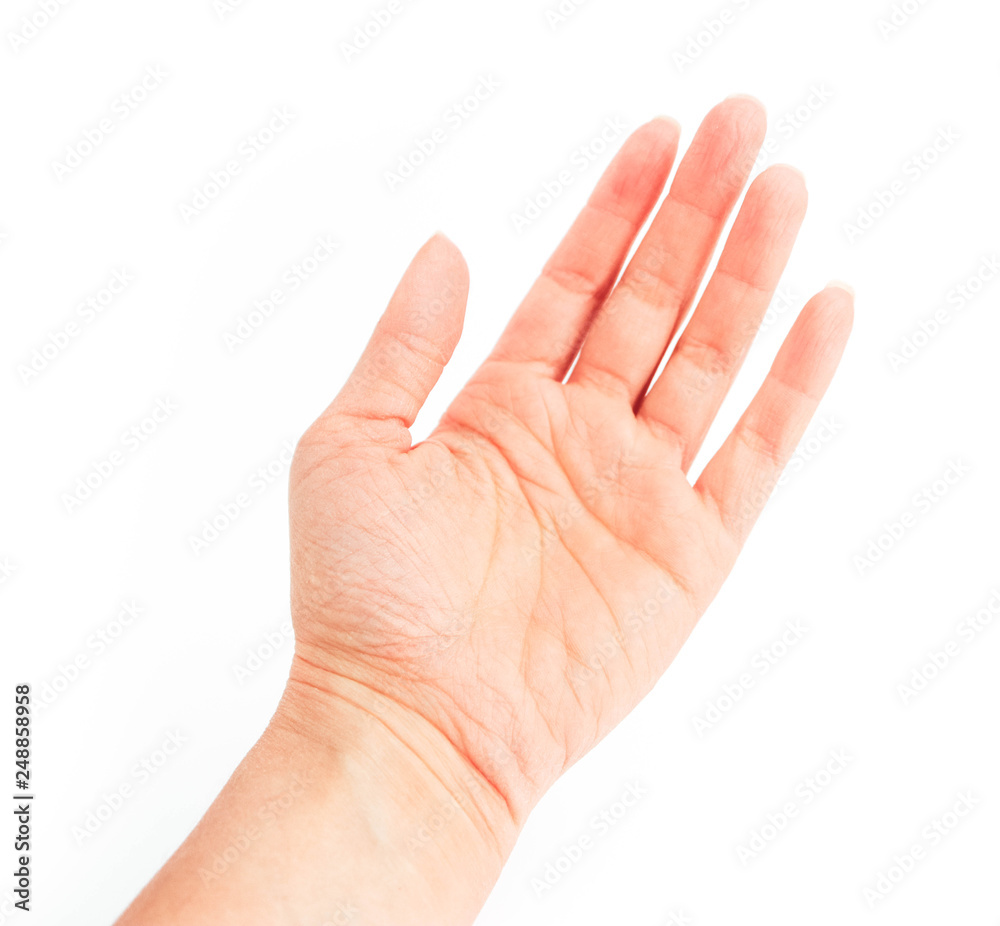 Young woman hand isolated on white background. Giving female hand palm ... Young woman hand isolated on white background. Giving female hand palm ...