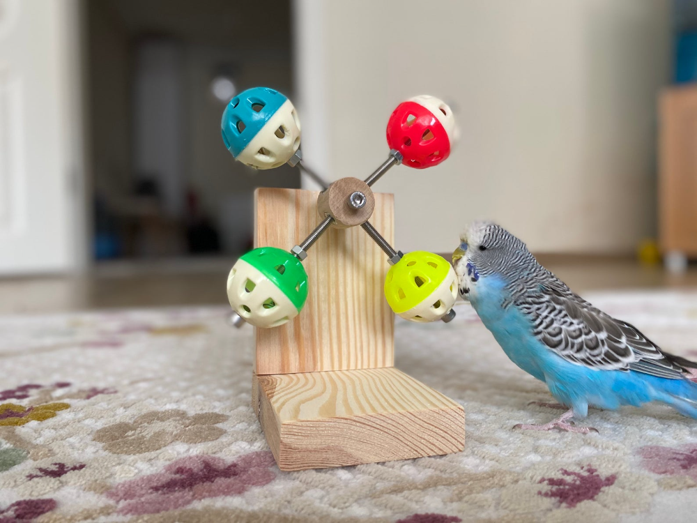 Rotating Bird Play Stand Toy for Parakeets Budgies Parrots - Etsy Rotating Bird Play Stand Toy for Parakeets Budgies Parrots - Etsy