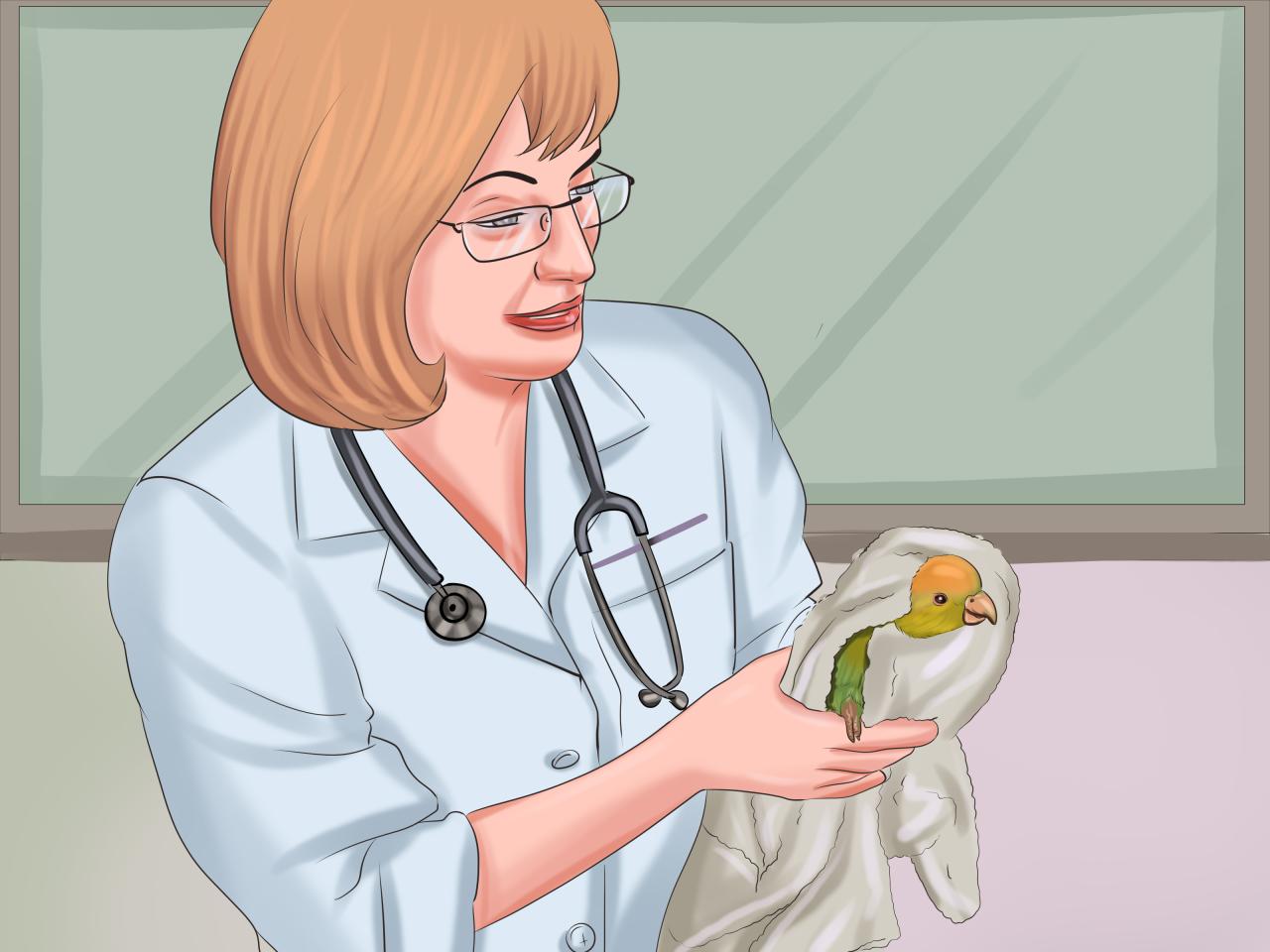 How to Feed Parrots: 12 Steps (with Pictures) - wikiHow How to Feed Parrots: 12 Steps (with Pictures) - wikiHow