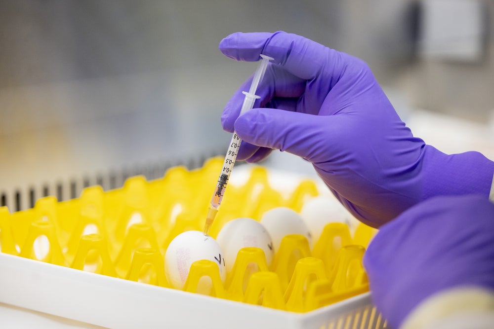 Moderna commissioned to develop bird flu vaccine for humans Moderna commissioned to develop bird flu vaccine for humans