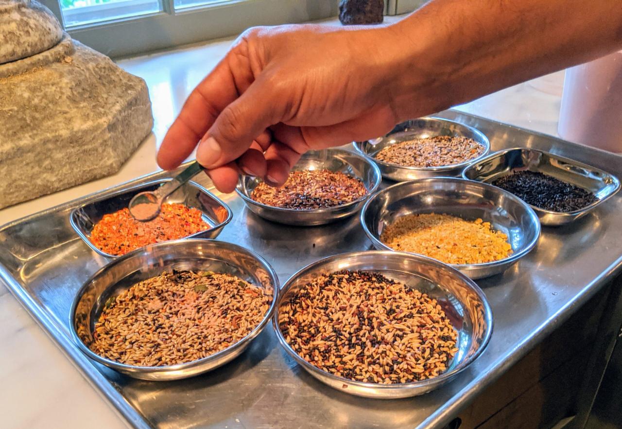 What to Feed Canary Chicks - Pet Food Guide What to Feed Canary Chicks - Pet Food Guide