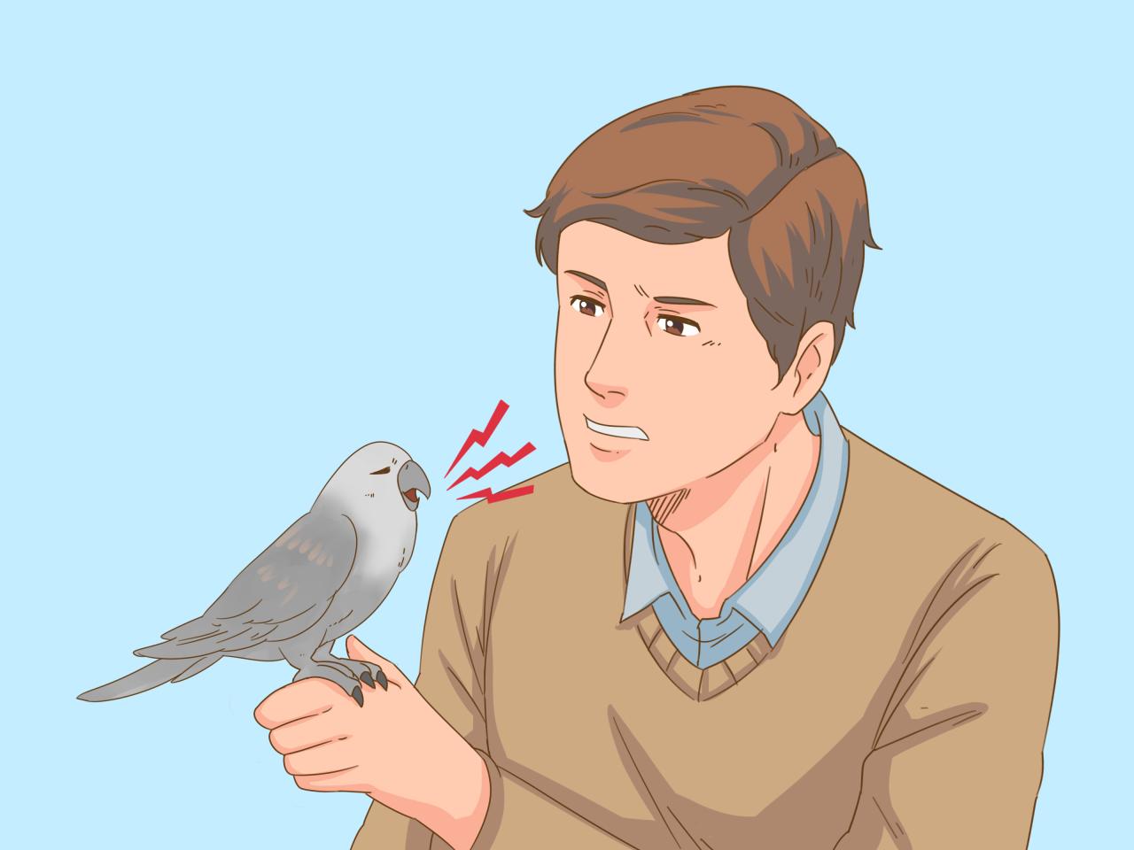 3 Ways to Know if Your Bird Is Sick - wikiHow