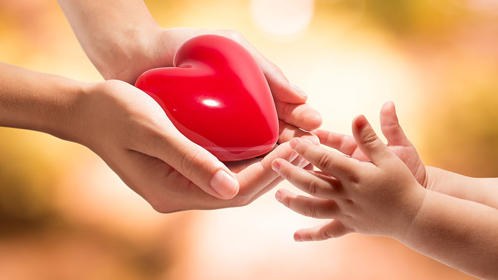 Take Pictures Of A - vrogue.co Take Pictures Of A - vrogue.co