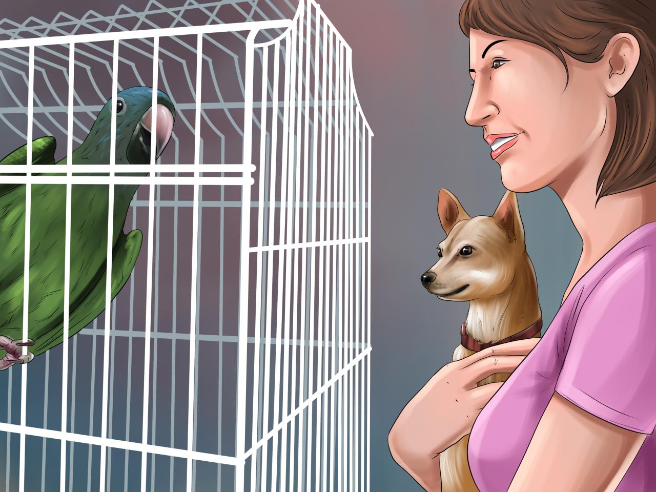 Traveling Safely with your Bird Traveling Safely with your Bird