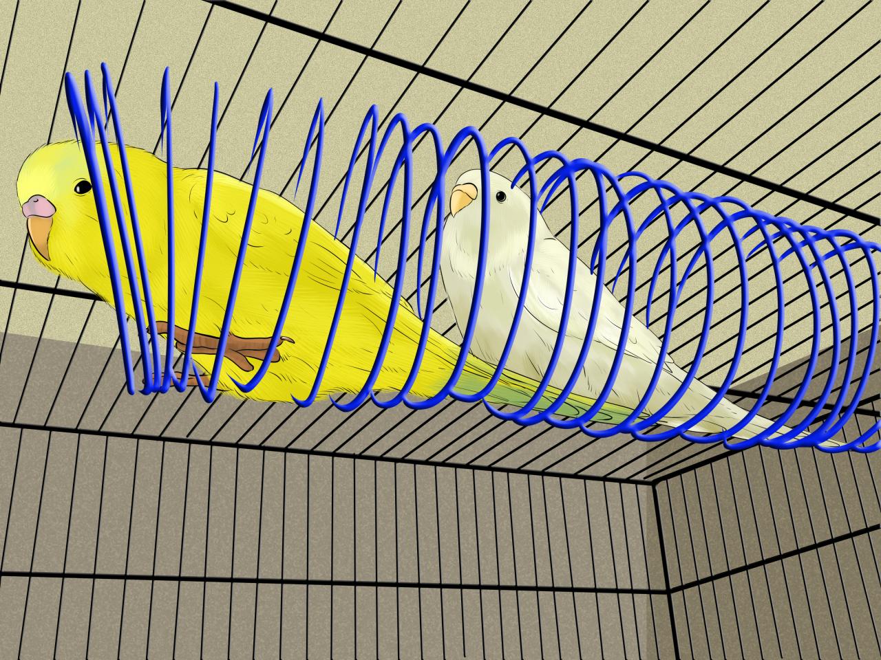 How to Stop Feather Plucking in Parakeets: 12 Steps
