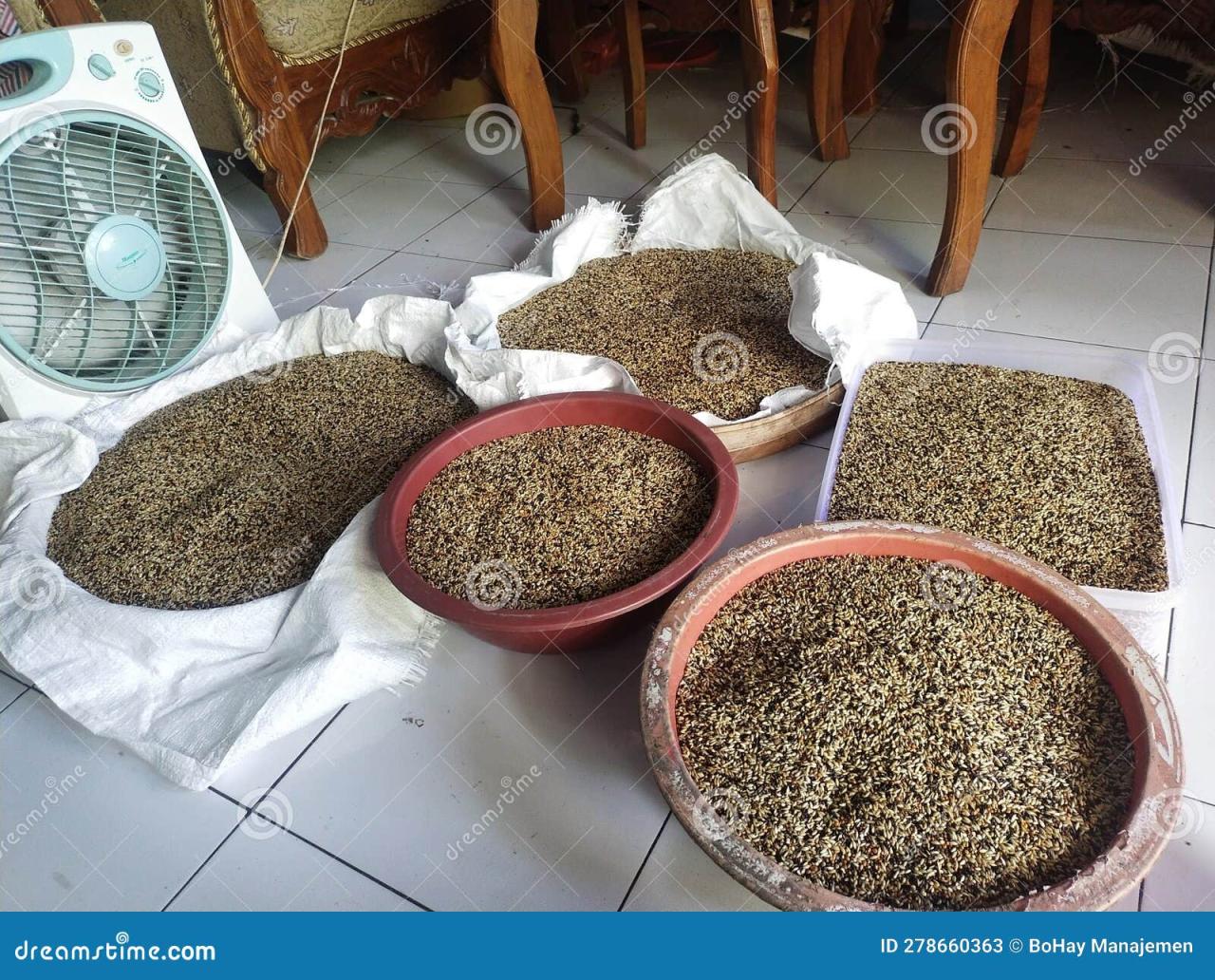 Cooling Process of Herbal Bird Feed for Canaries Stock Image - Image of ... Cooling Process of Herbal Bird Feed for Canaries Stock Image - Image of ...