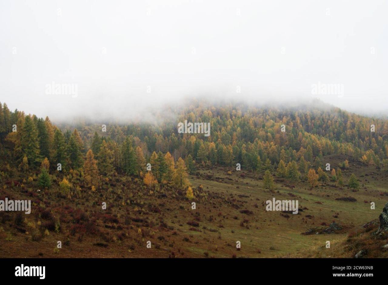 Matutinal mist by autumn in mountain landscape Stock Photo - Alamy