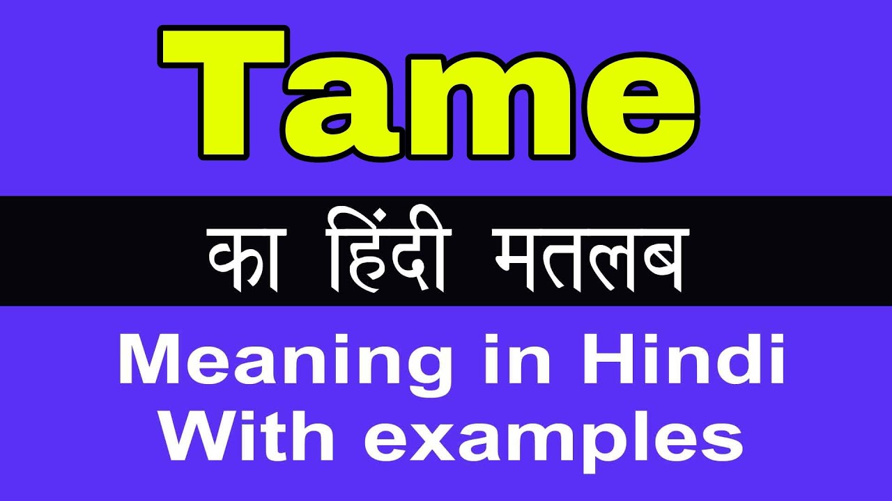 Tame wants to bring order to conference and event planning chaos ...