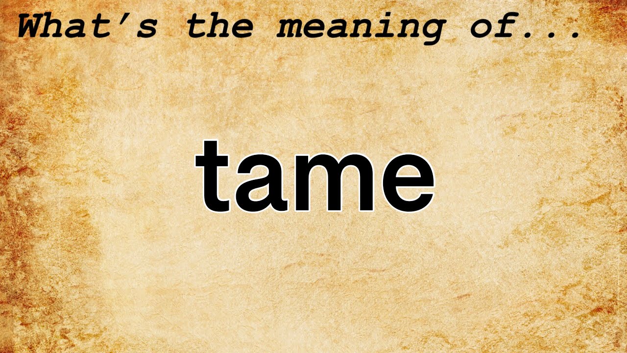 What Is The Noun Of Tame? Trust The Answer - Ecurrencythailand.com What Is The Noun Of Tame? Trust The Answer - Ecurrencythailand.com