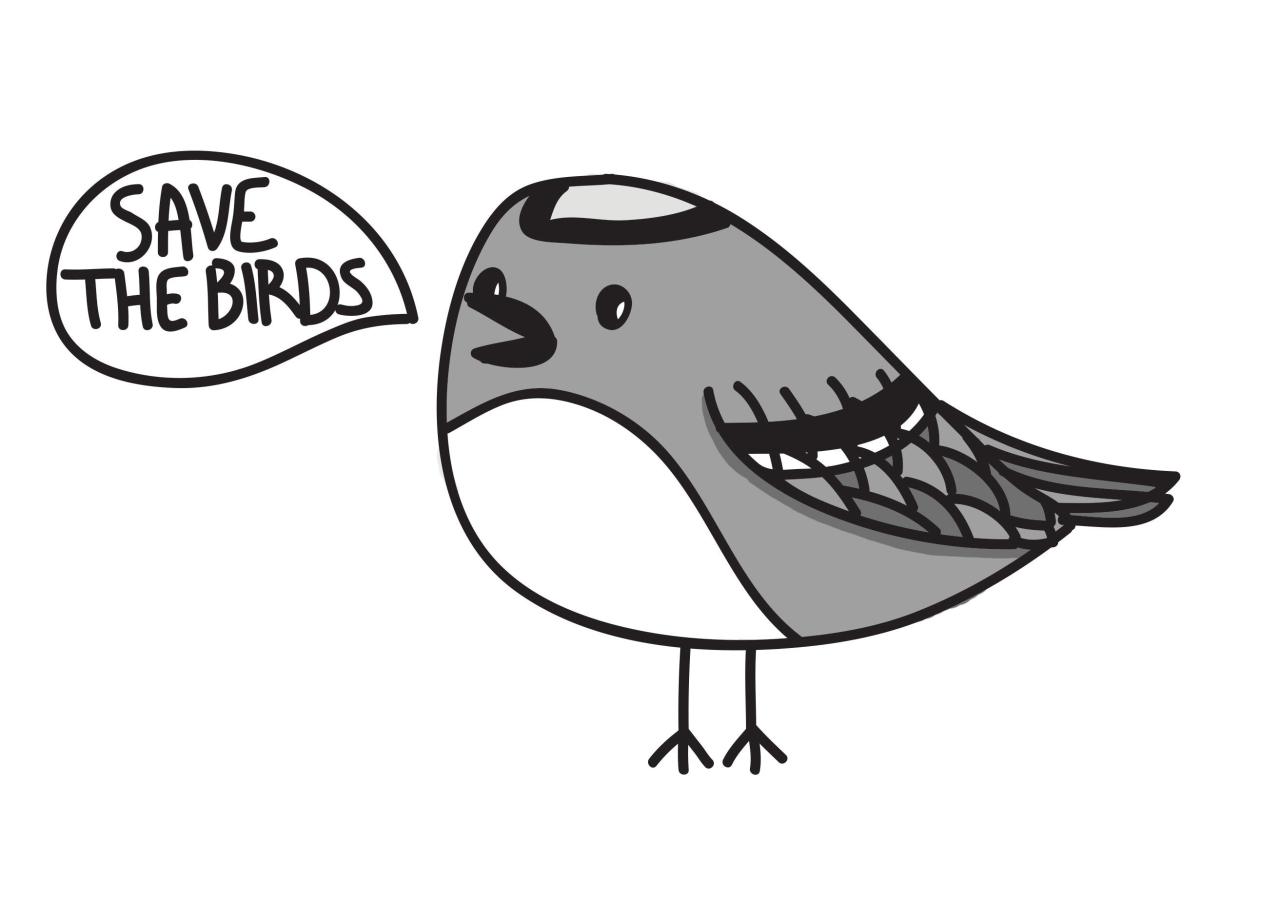 Protect our birds – Nordic News Protect our birds – Nordic News