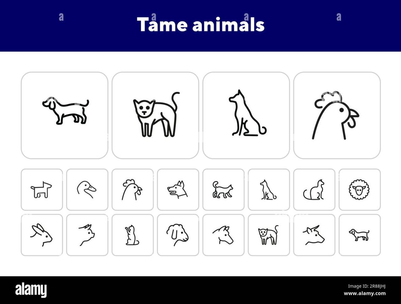 Tame animals Stock Vector Images - Alamy